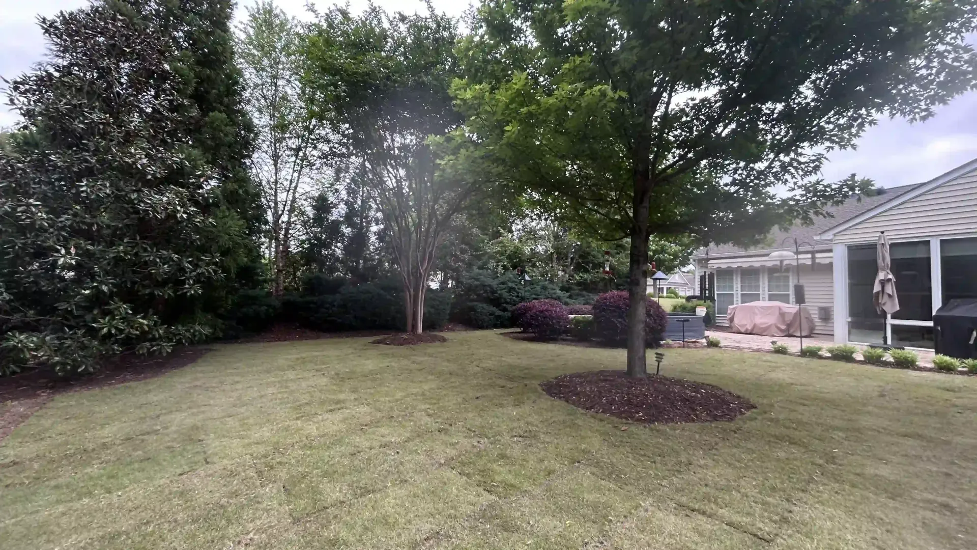 Backyard lawn with trees, shrubs, and a house patio on the right