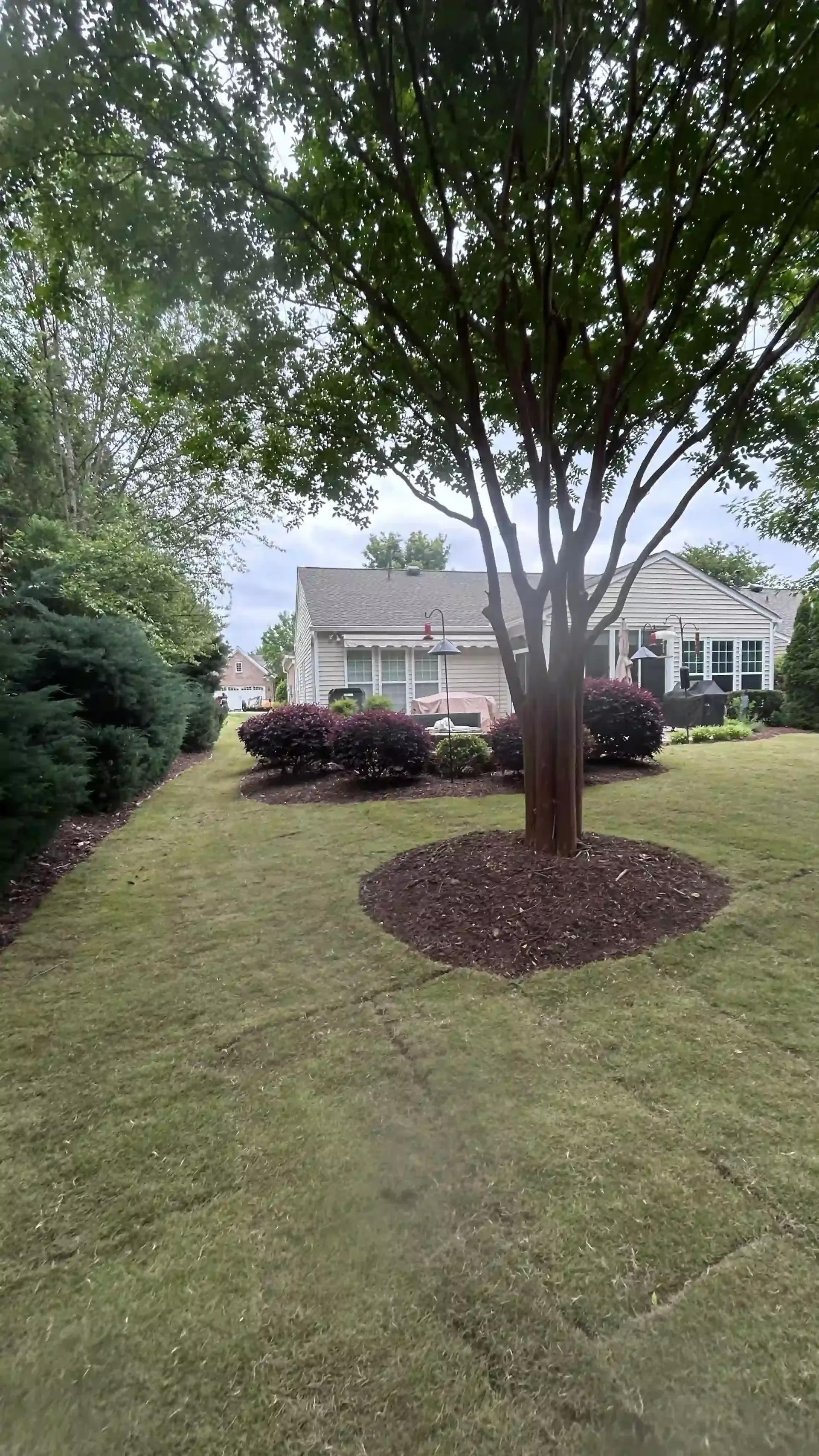 Suburban front yard with a large tree, manicured lawn, and a house in the background
