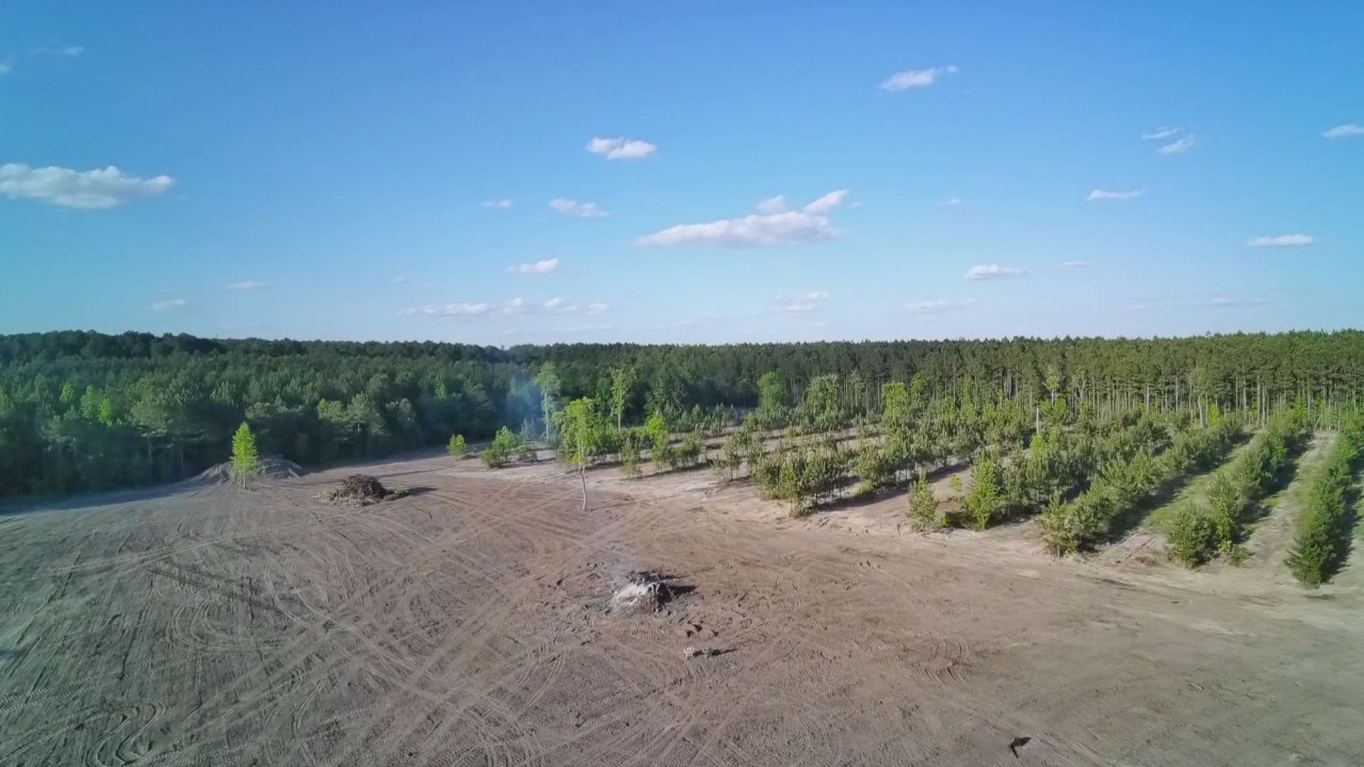 Dirt clearing beside a green forest under a bright blue sky with scattered clouds