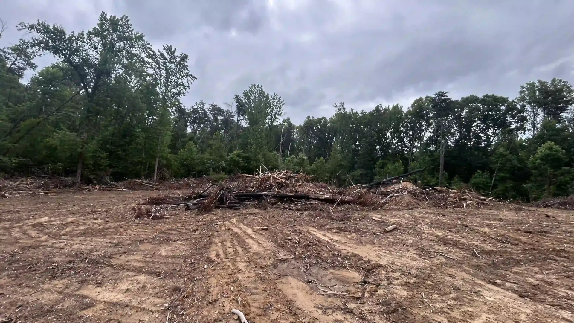Cleared forest site with piles of cut trees and dirt under a cloudy sky