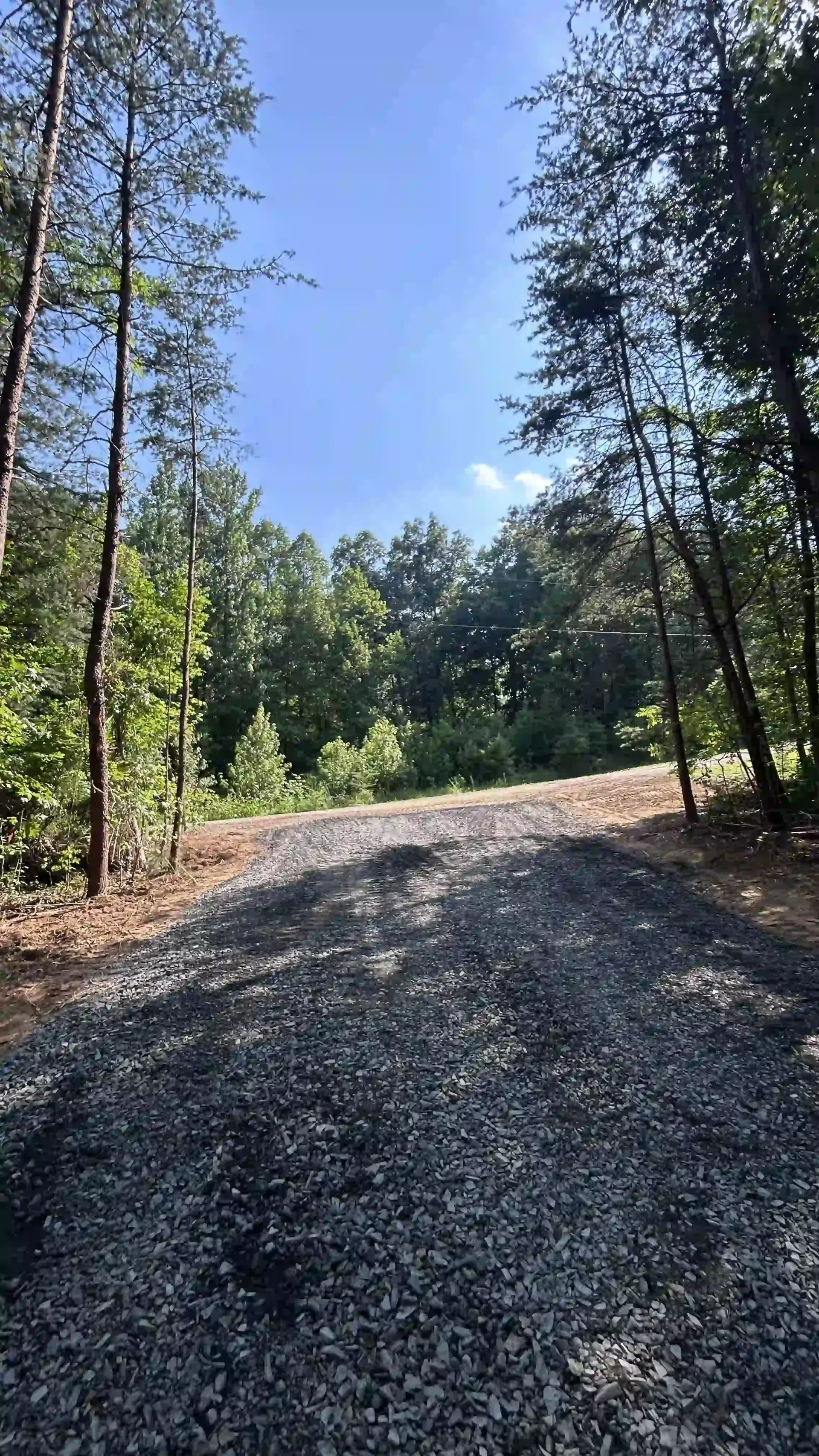 Gravel driveway curving uphill through a sunlit wooded area with tall trees on both sides.