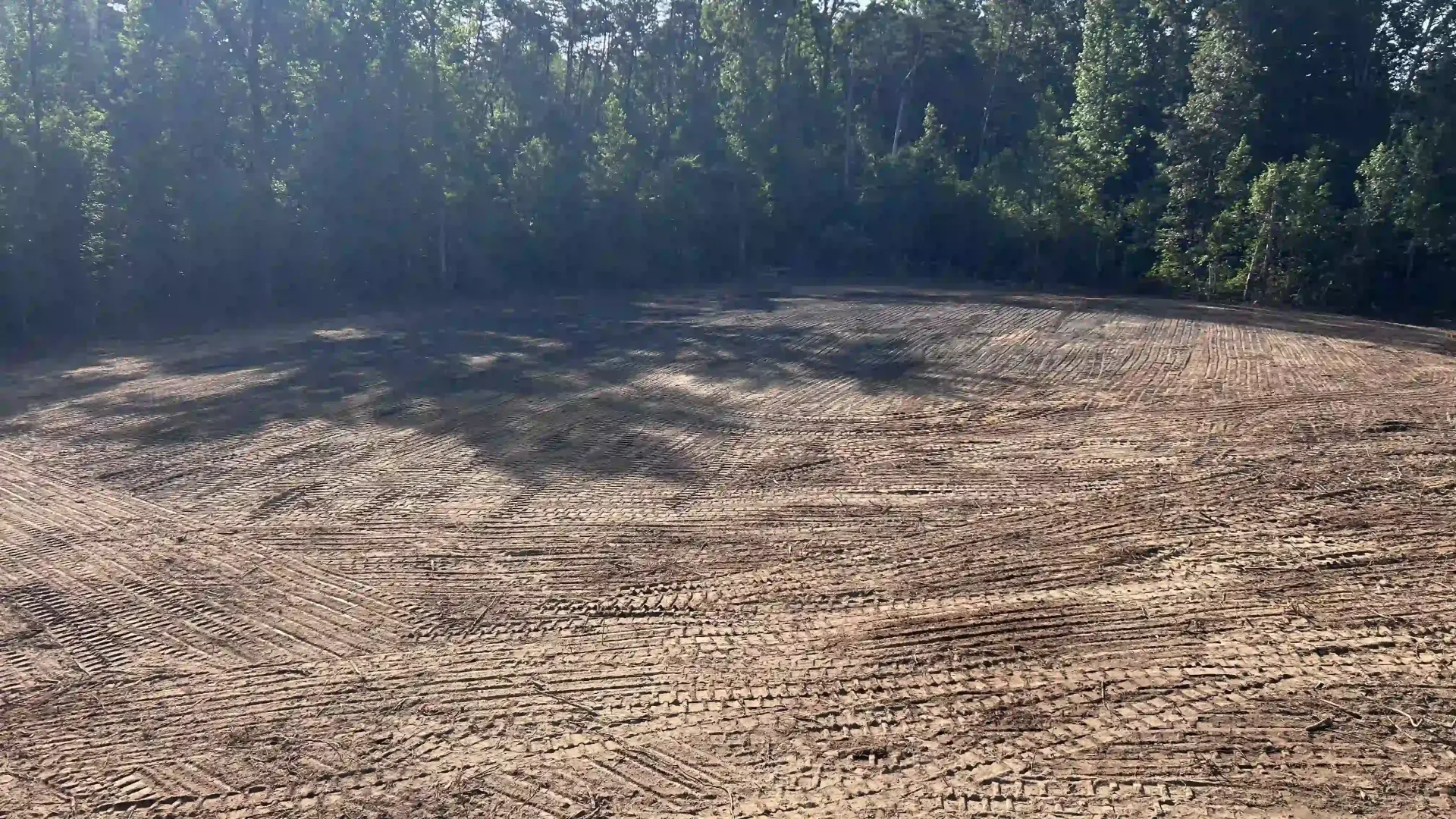 Cleared dirt field bordered by dense trees under bright sunlight