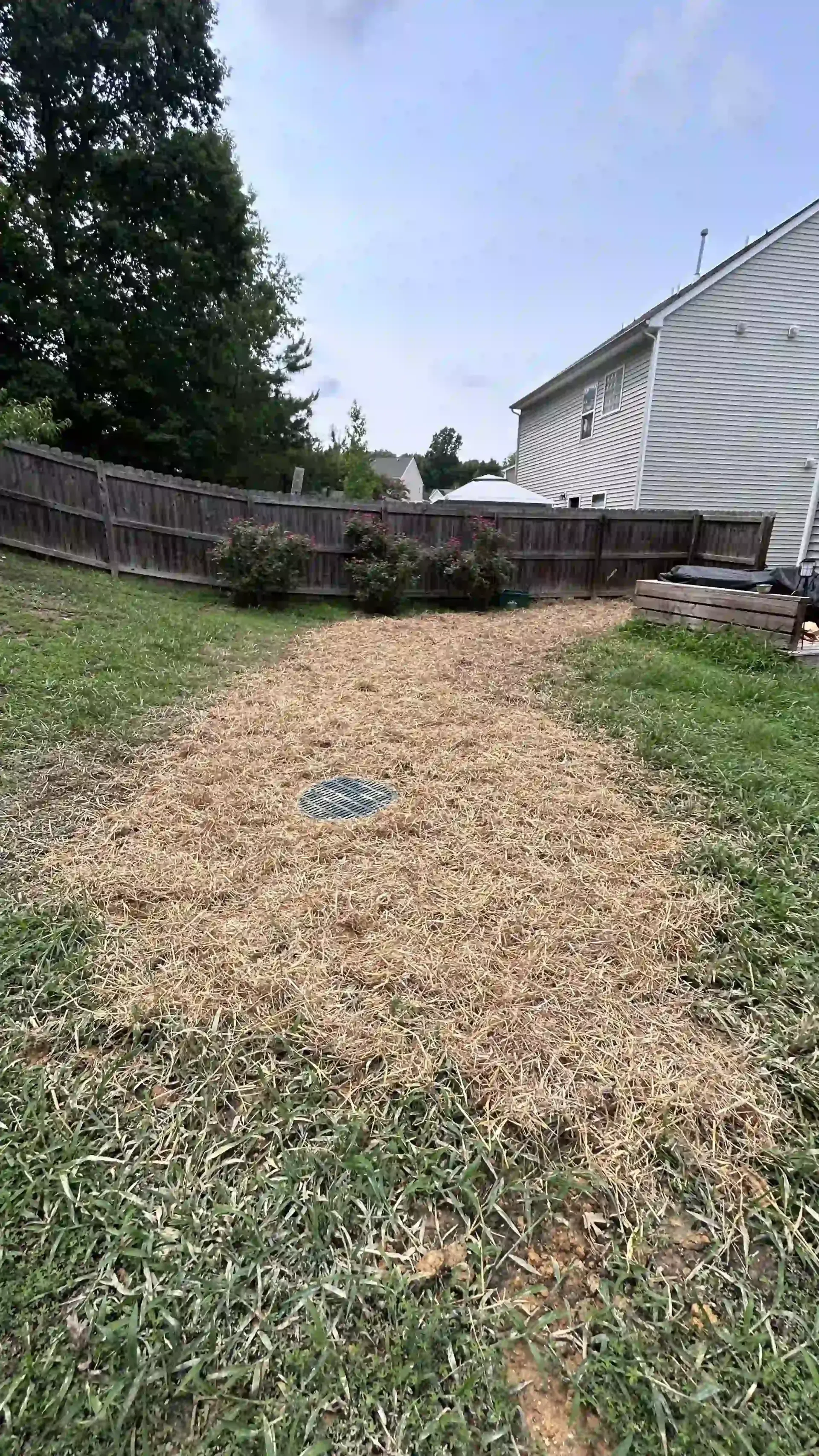 Gravel path leading to a wooden fence beside a white house and trees in a backyard