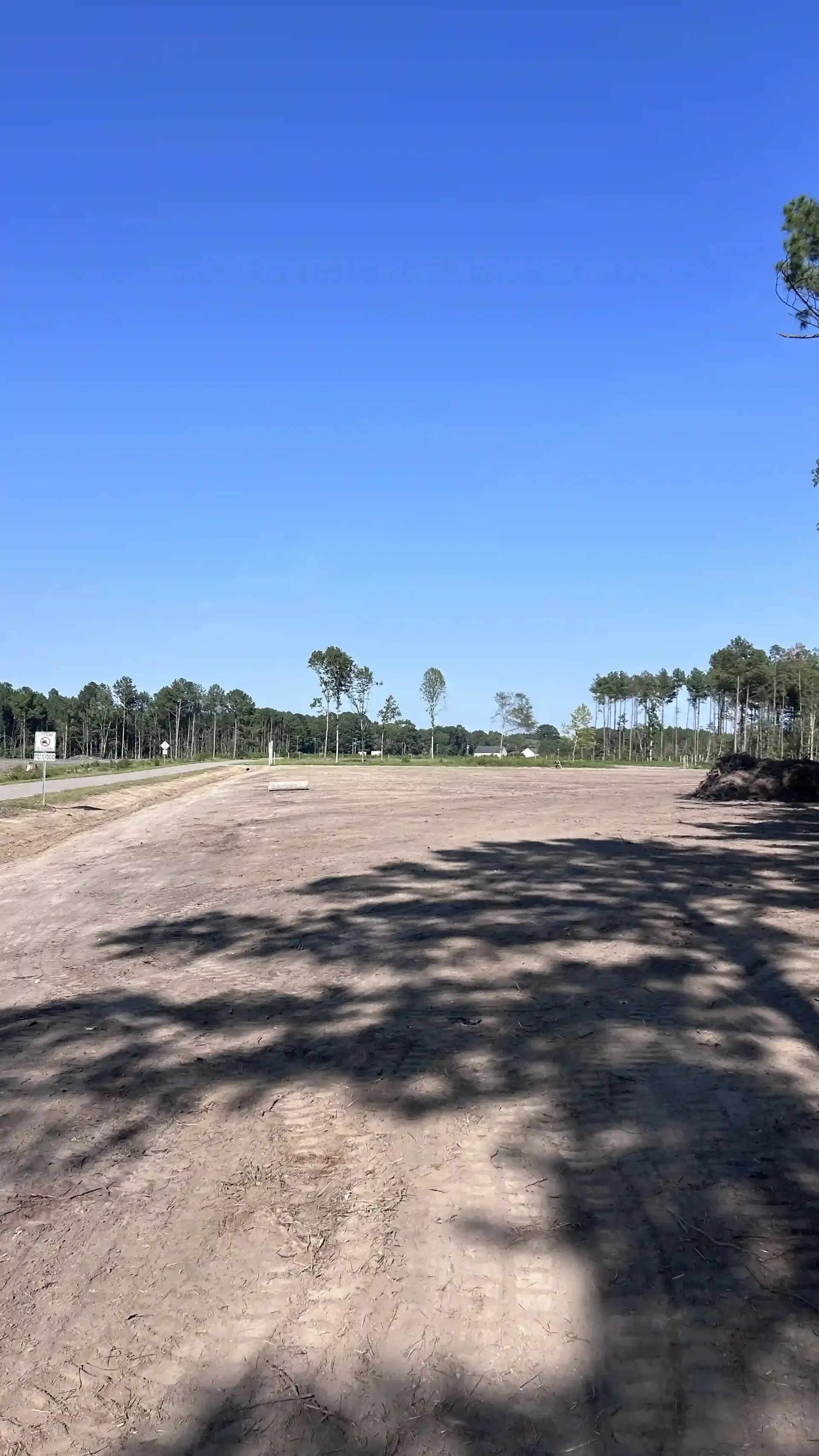 Sunny open field with a dirt path, palm trees in the distance, and a clear blue sky.