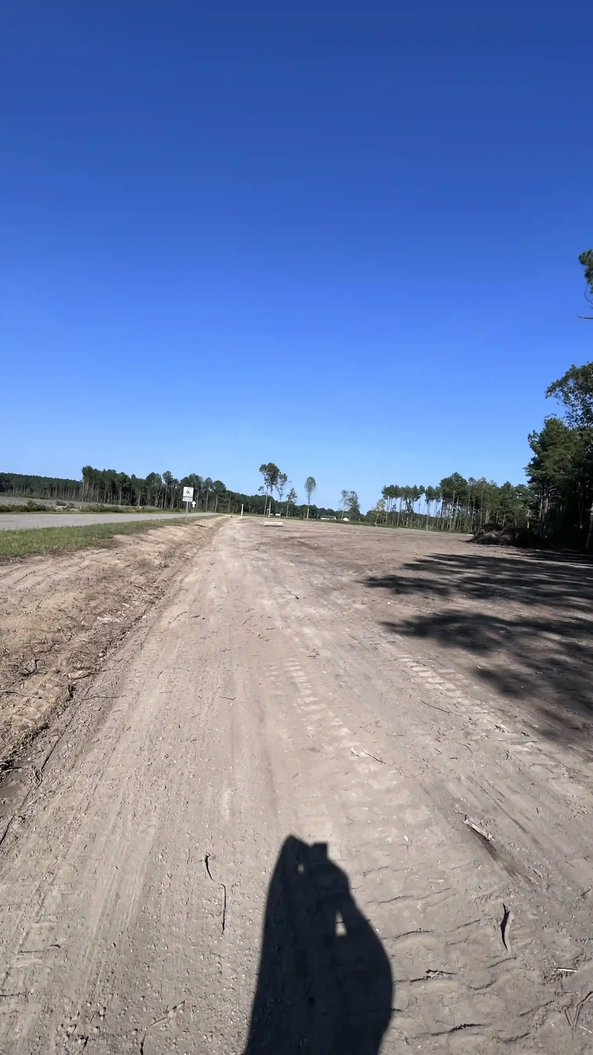 Dirt road stretching into the distance under a clear blue sky, with trees along the sides.