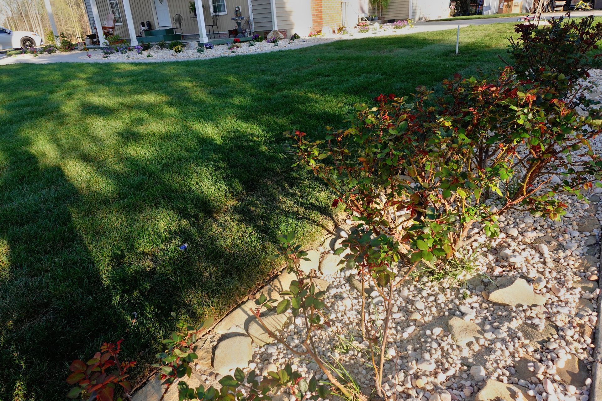 Green lawn with bushes and a gravel border in front of a building.