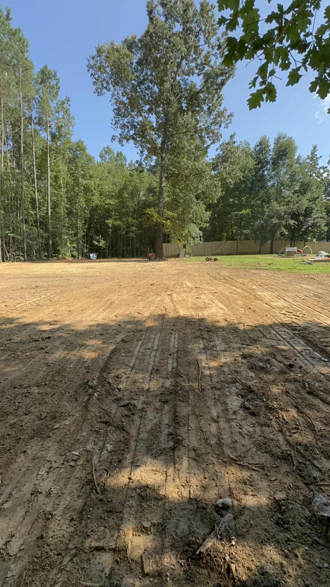Cleared land with muddy ground, trees in the background, and a bright blue sky.
