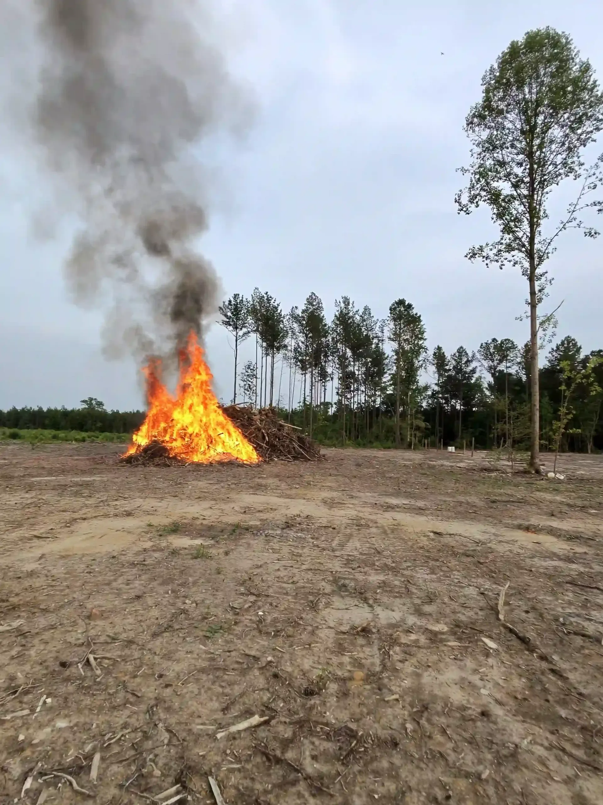 Large pile of burning brush in a bare field, with thick gray smoke and trees in the background