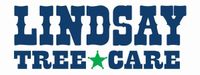 A logo forLindsay Tree Care with a green star