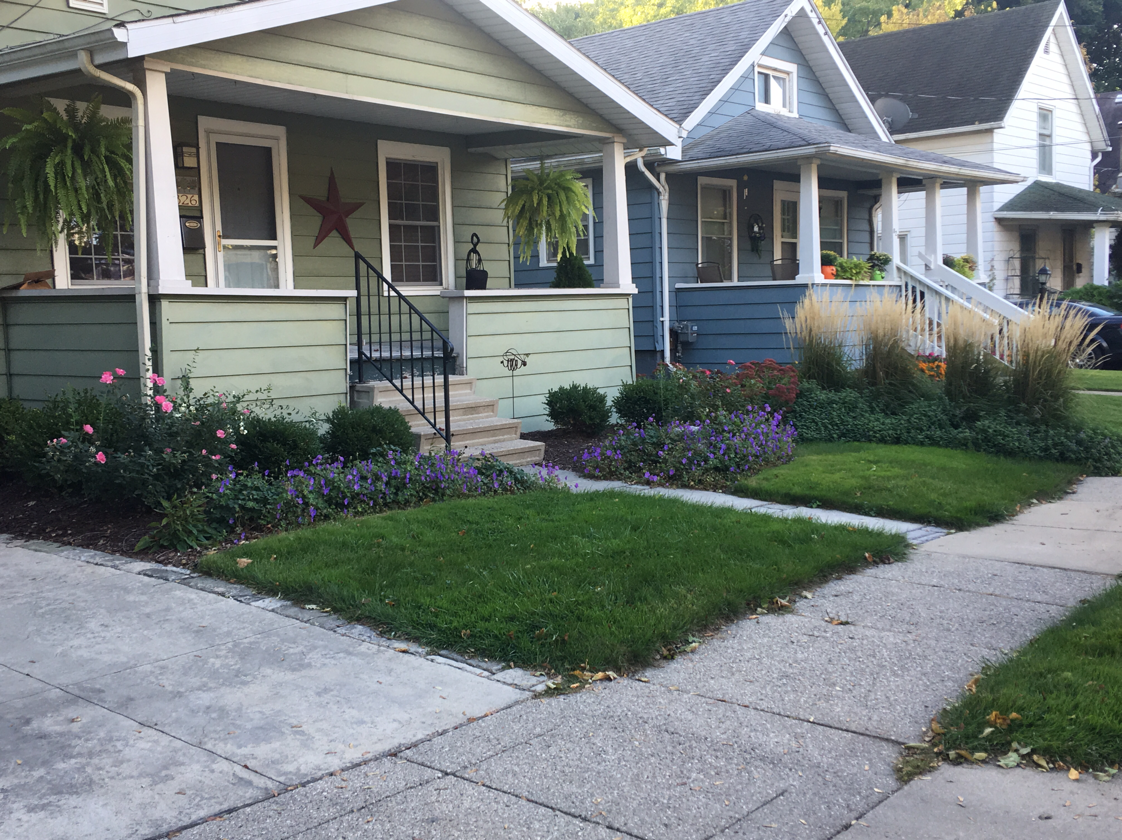 Row of colorful houses with front yards; green grass, sidewalks, and gardens.