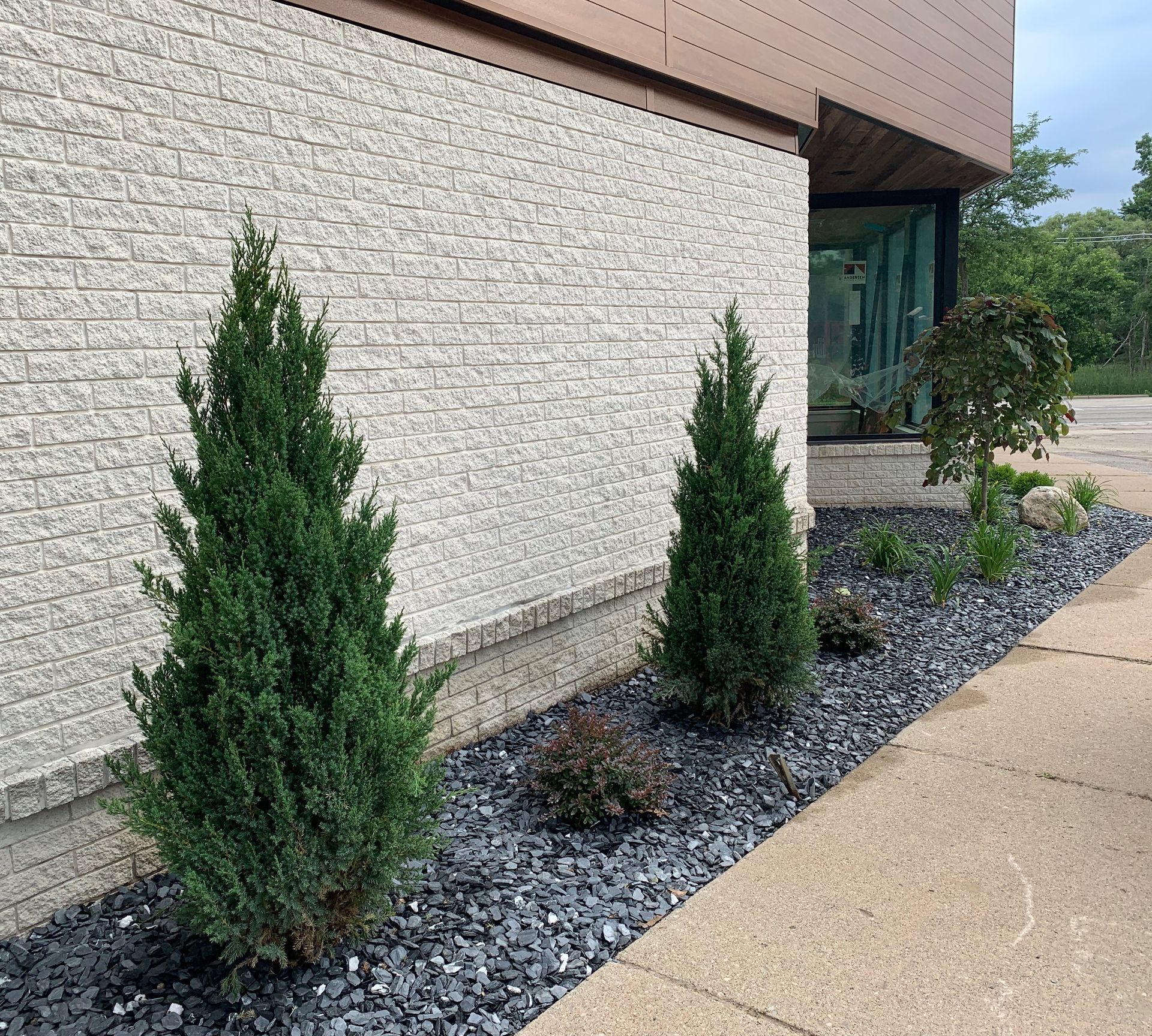 Two evergreen trees flank a brick building. Black gravel borders a concrete walkway.