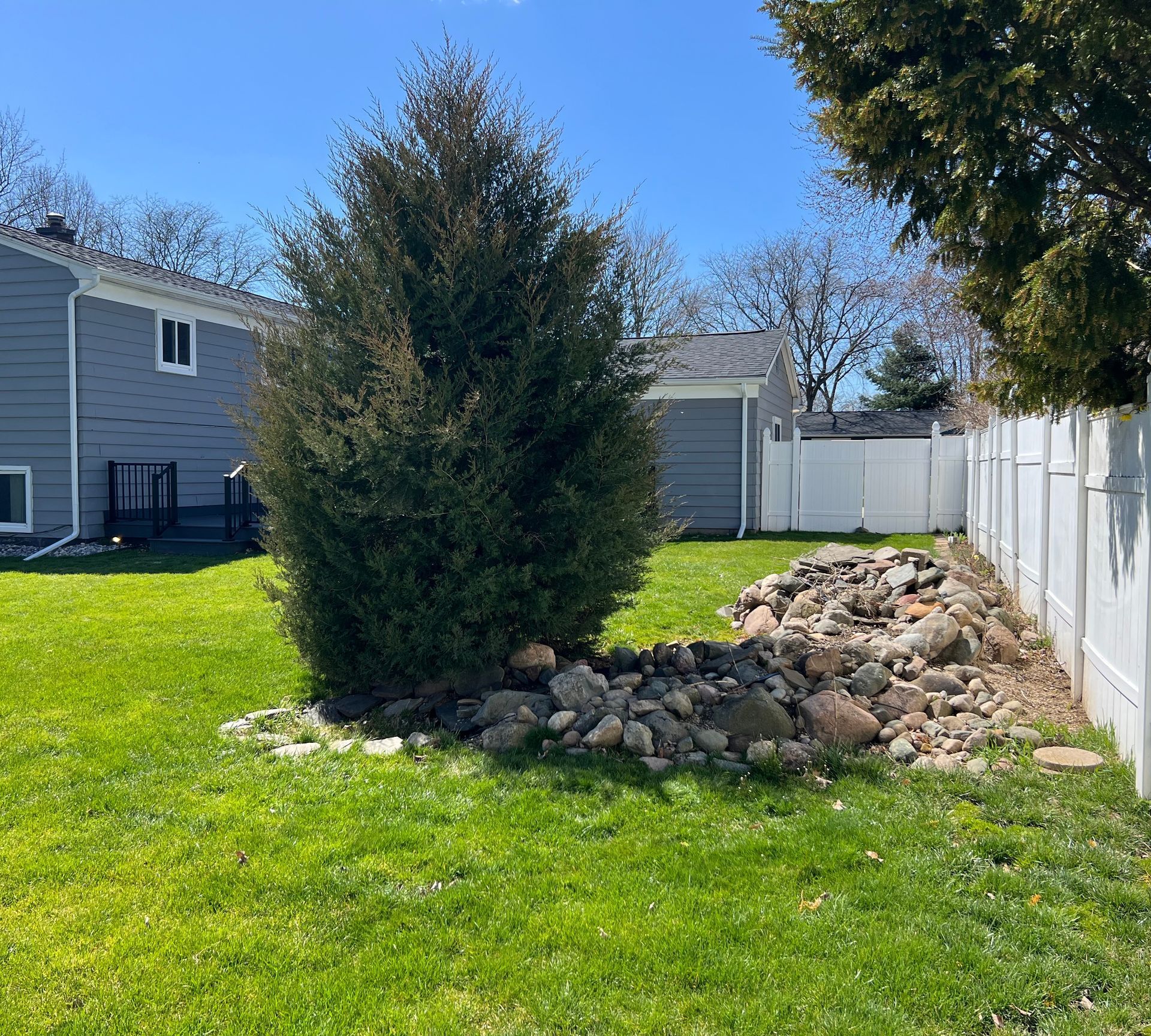 Backyard with evergreen tree, pile of rocks, and white fence under a blue sky.