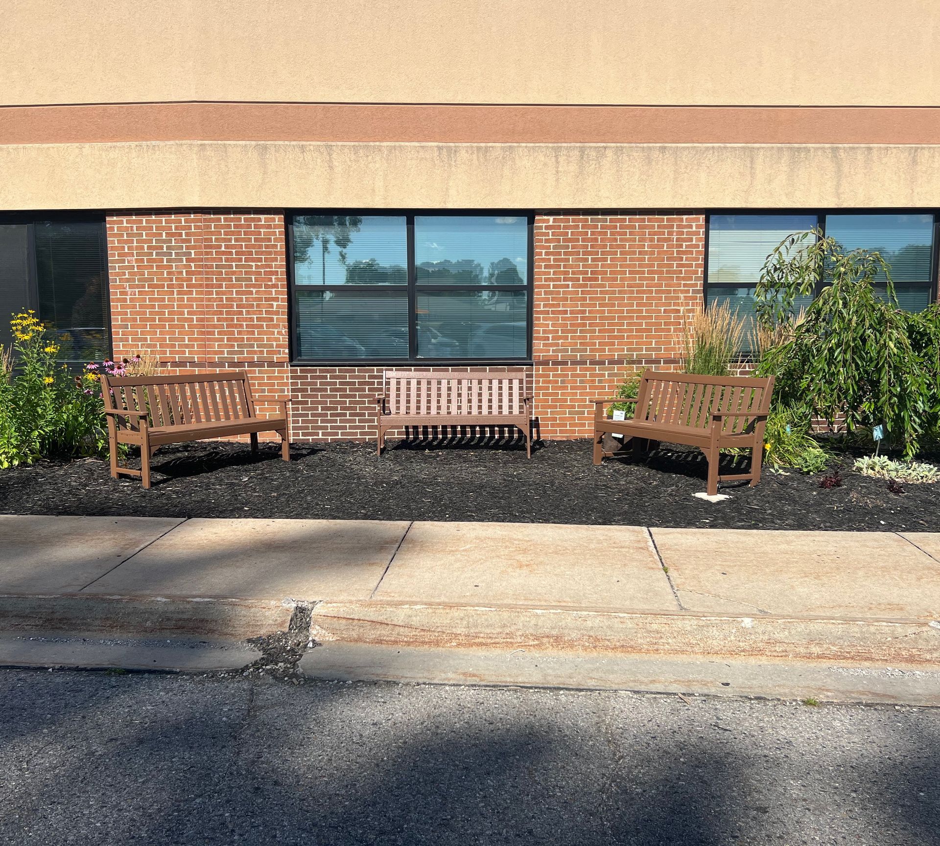 Three wooden benches in front of a brick building. Black mulch and plants are visible.