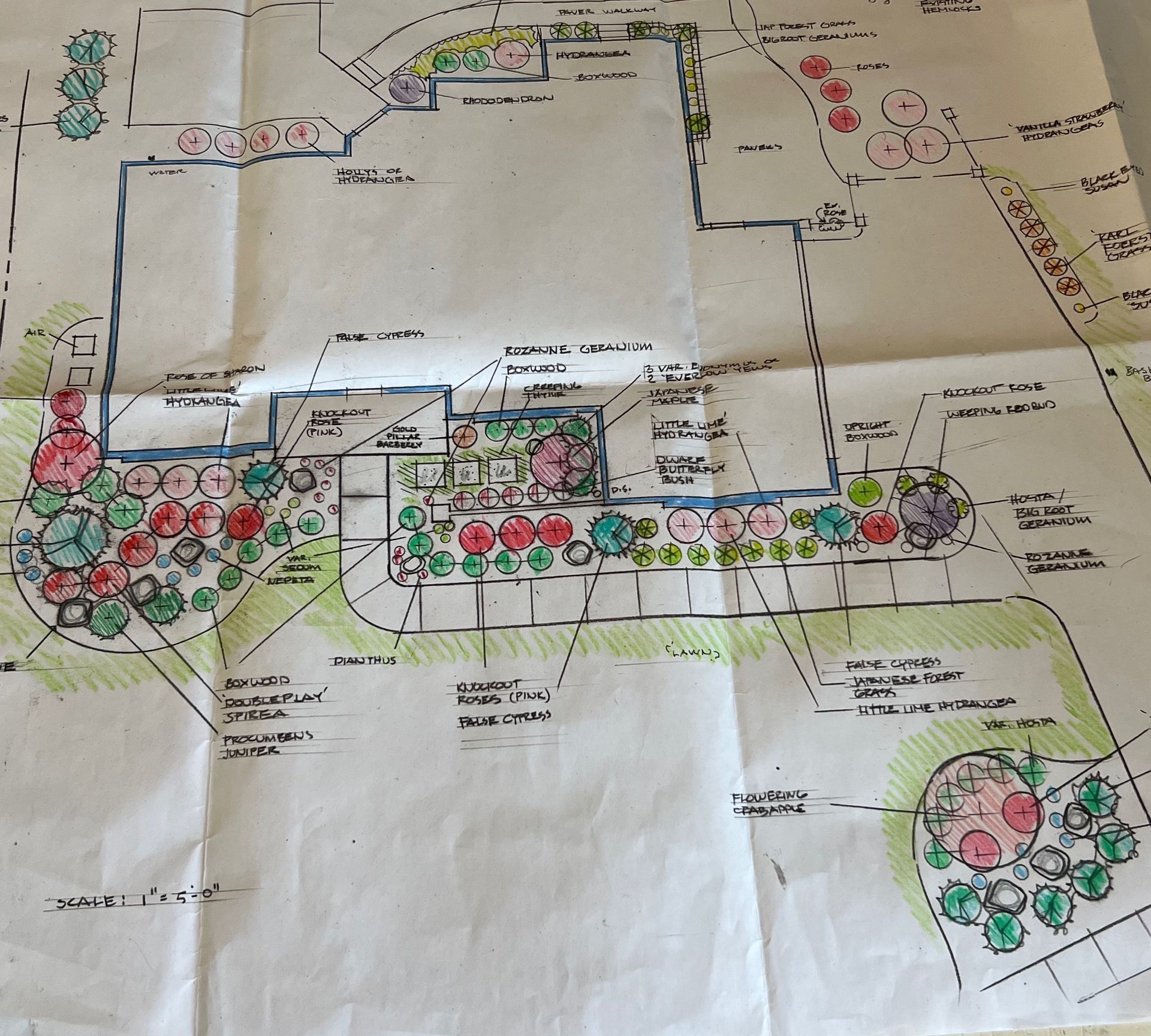 Hand-drawn landscaping plan with colorful plant markers and labels for garden design.