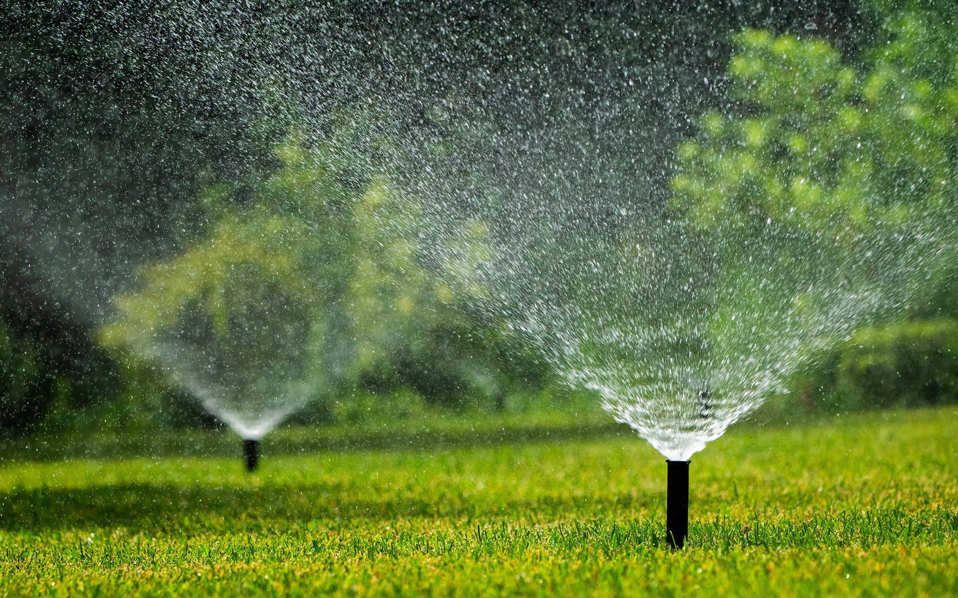 Two lawn sprinklers spraying water on green grass.