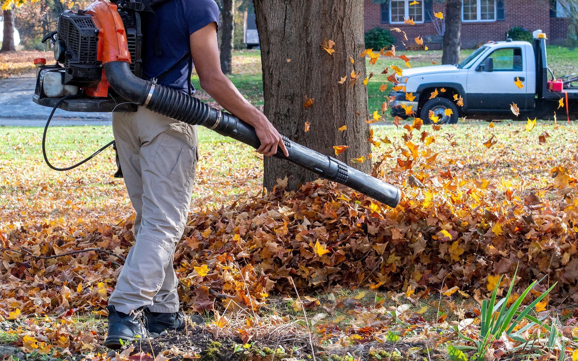 Person using a leaf blower to blow fallen leaves; a truck is in the background.