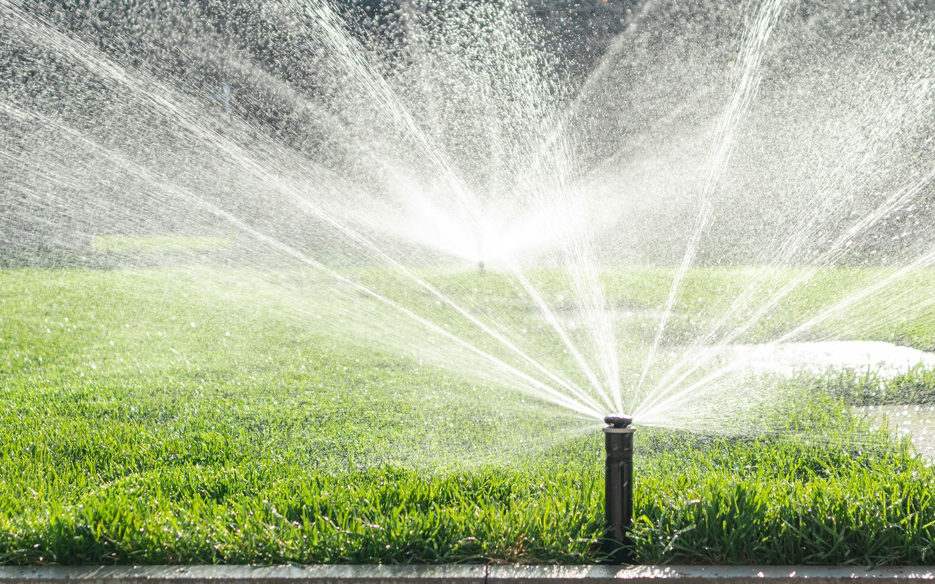 Sprinkler spraying water onto a lush green lawn on a sunny day.