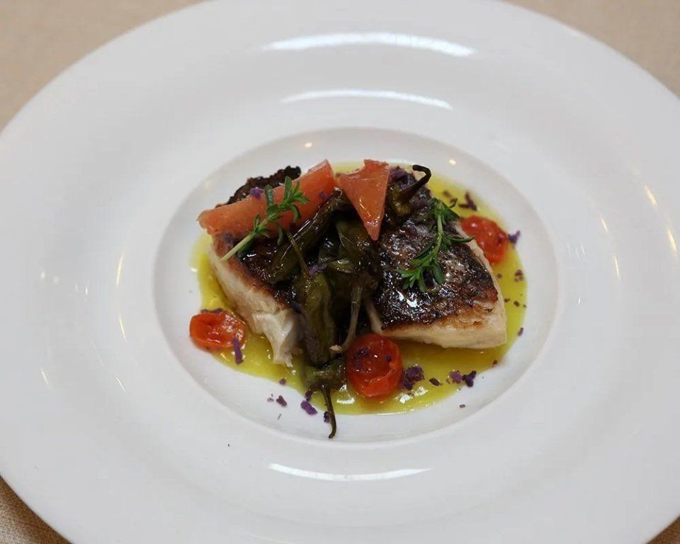 Dentice grigliato con crema di patate e cicoriella