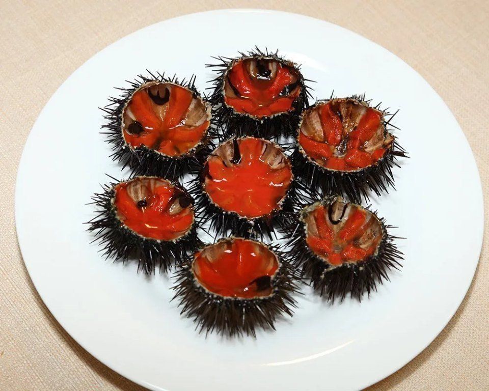 ricci di mare aperti a metà