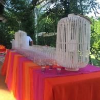 Rows of clear glasses on a bright orange table with tall white birdcages outdoors at a garden event