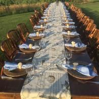 Long outdoor dining table set with plates and chairs beside a grassy field