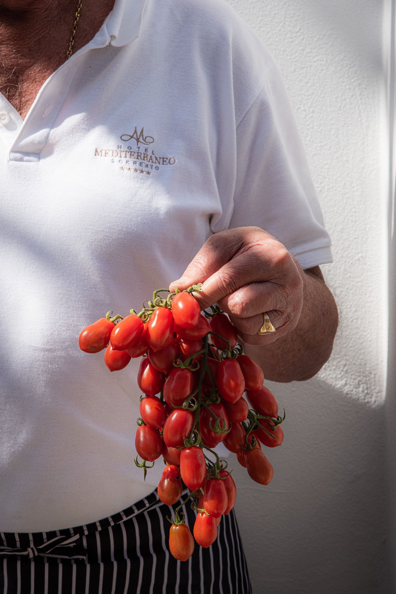 A person in a white polo shirt holds a large, fresh cluster of vibrant red cherry tomatoes.