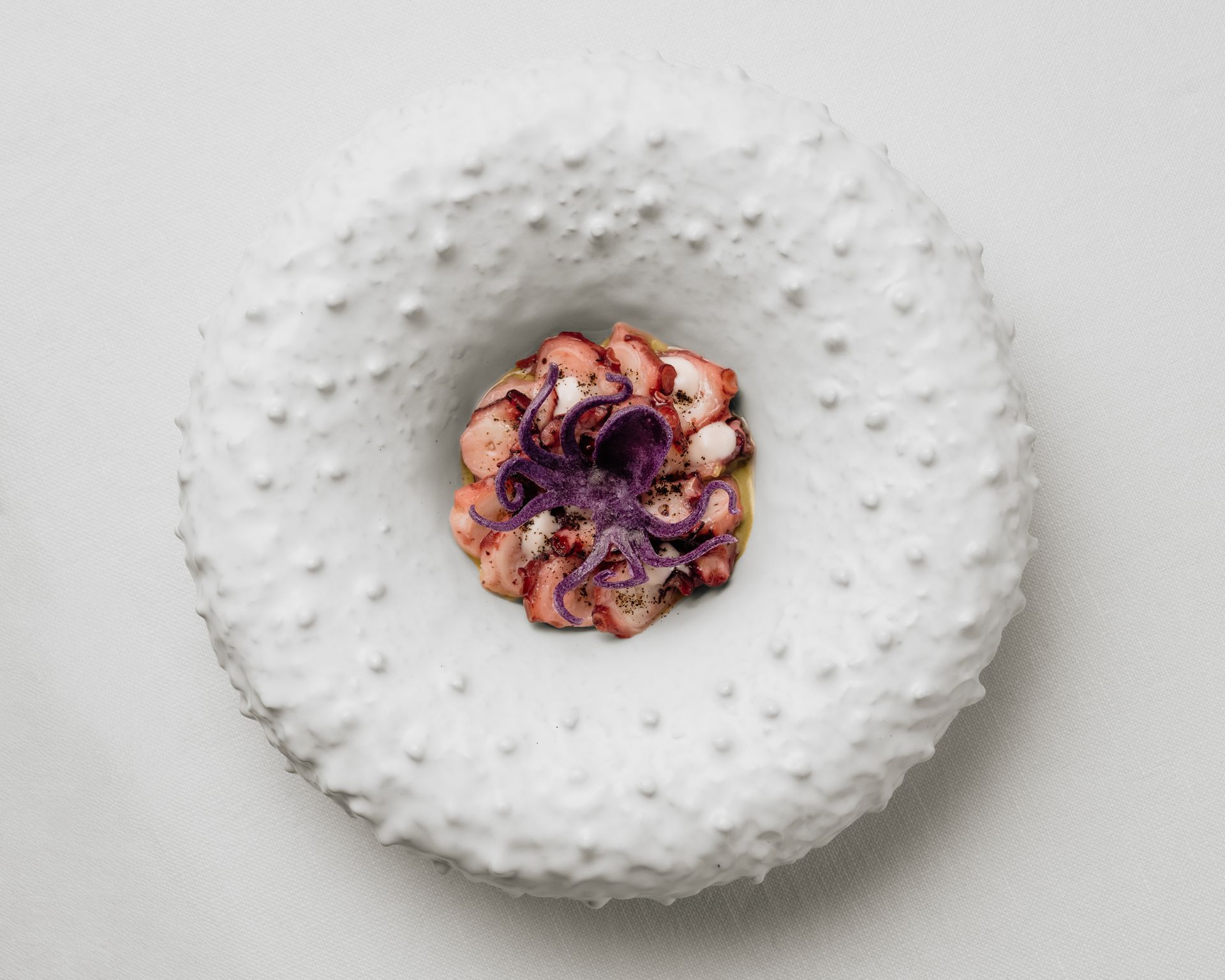 Polpo con fondo bianco e una piccola decorazione a forma di fiore viola e rosa al centro.