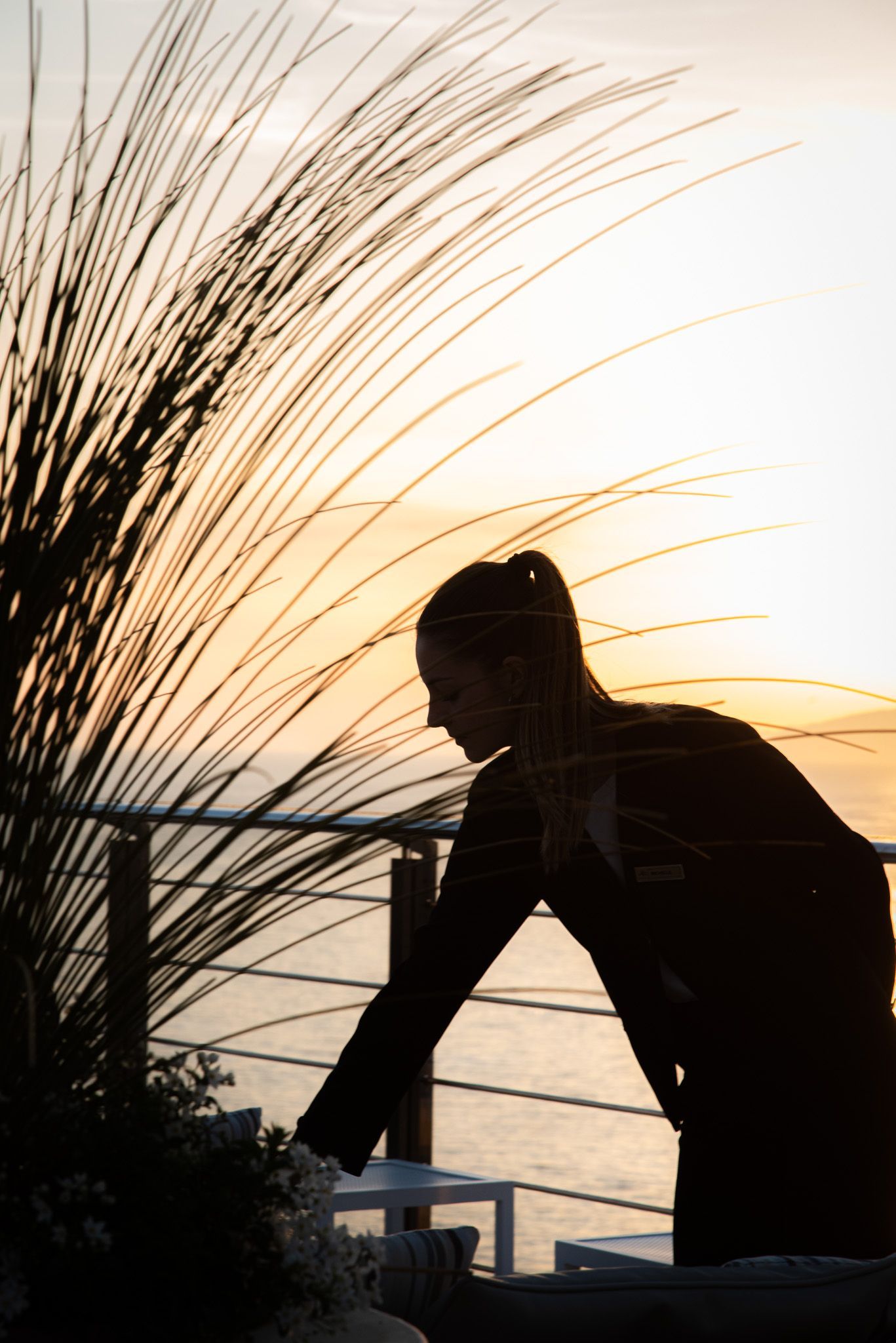 A silhouetted person stands beside a large, feathery plant on a balcony at sunset, reaching toward a table.