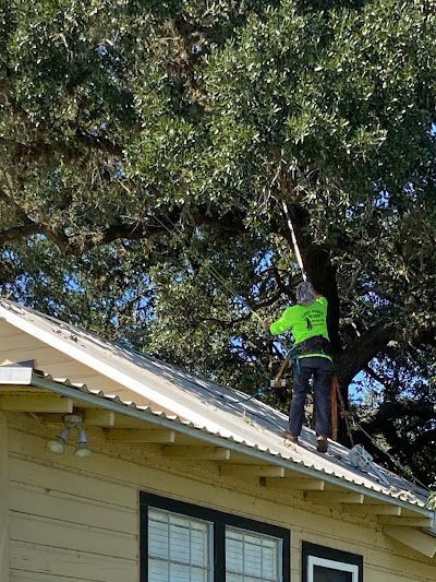 A man is standing on the roof of a house cutting a tree.