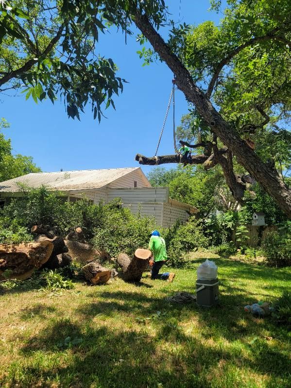 A house with a large tree in front of it