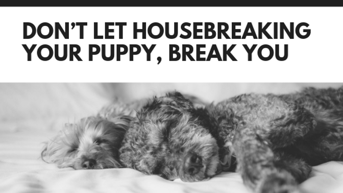 A black and white photo of a dog with the words A black and white photo of a dog with the words