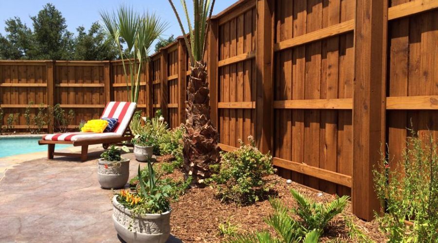 Maintained wooden privacy fence surrounding a backyard pool