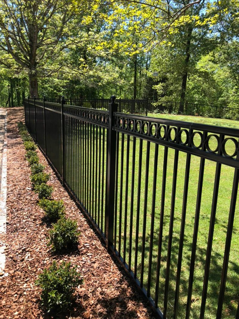 Black metal fence along a lawn, with small green bushes planted in the mulch border.