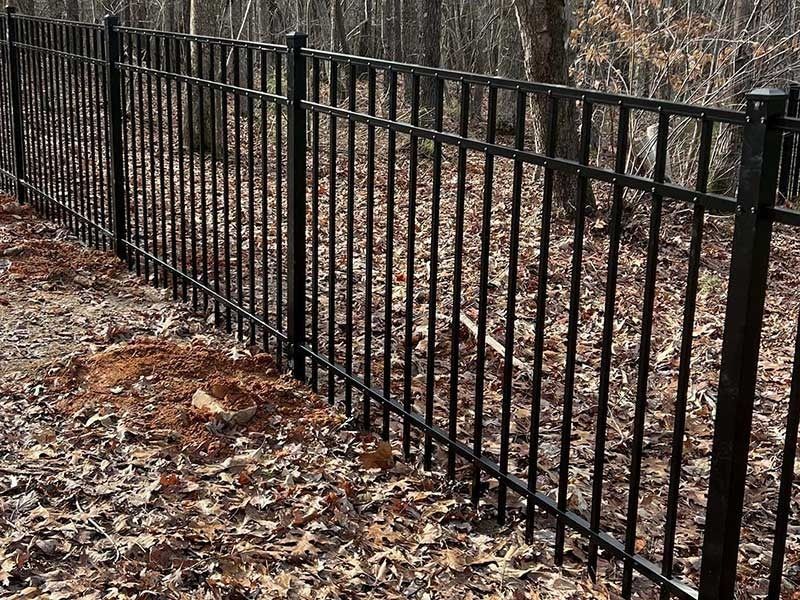 Black metal fence in a wooded area, with fallen leaves on the ground.