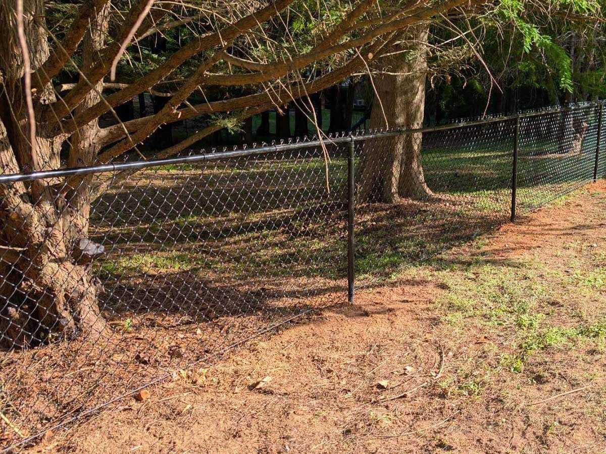 Black chain-link fence with razor wire along a tree line in a yard.