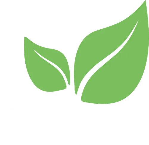 Two light green leaves.