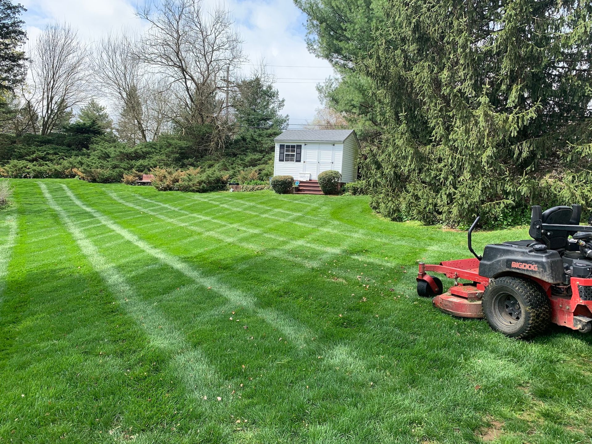 Lawn mowed in a checkered pattern with a riding mower in a green backyard, small white shed in the background.