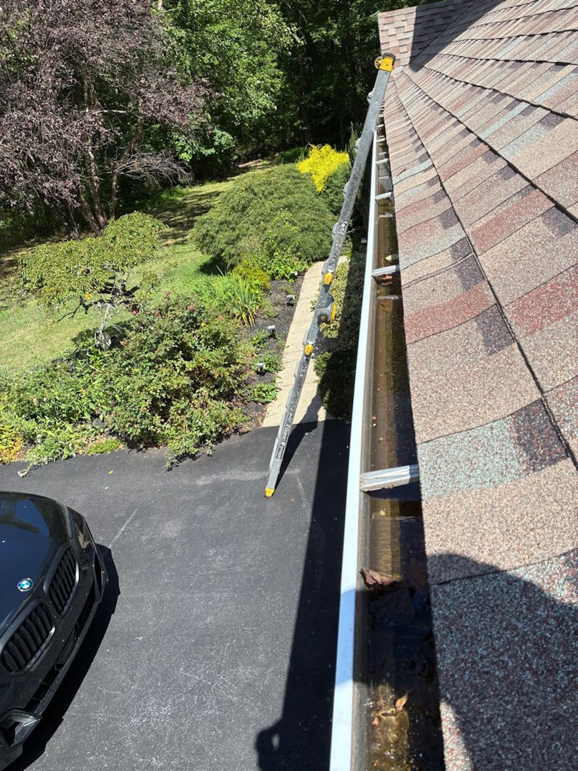 Two people using leaf blowers, blowing leaves in a yard with a house in the background.