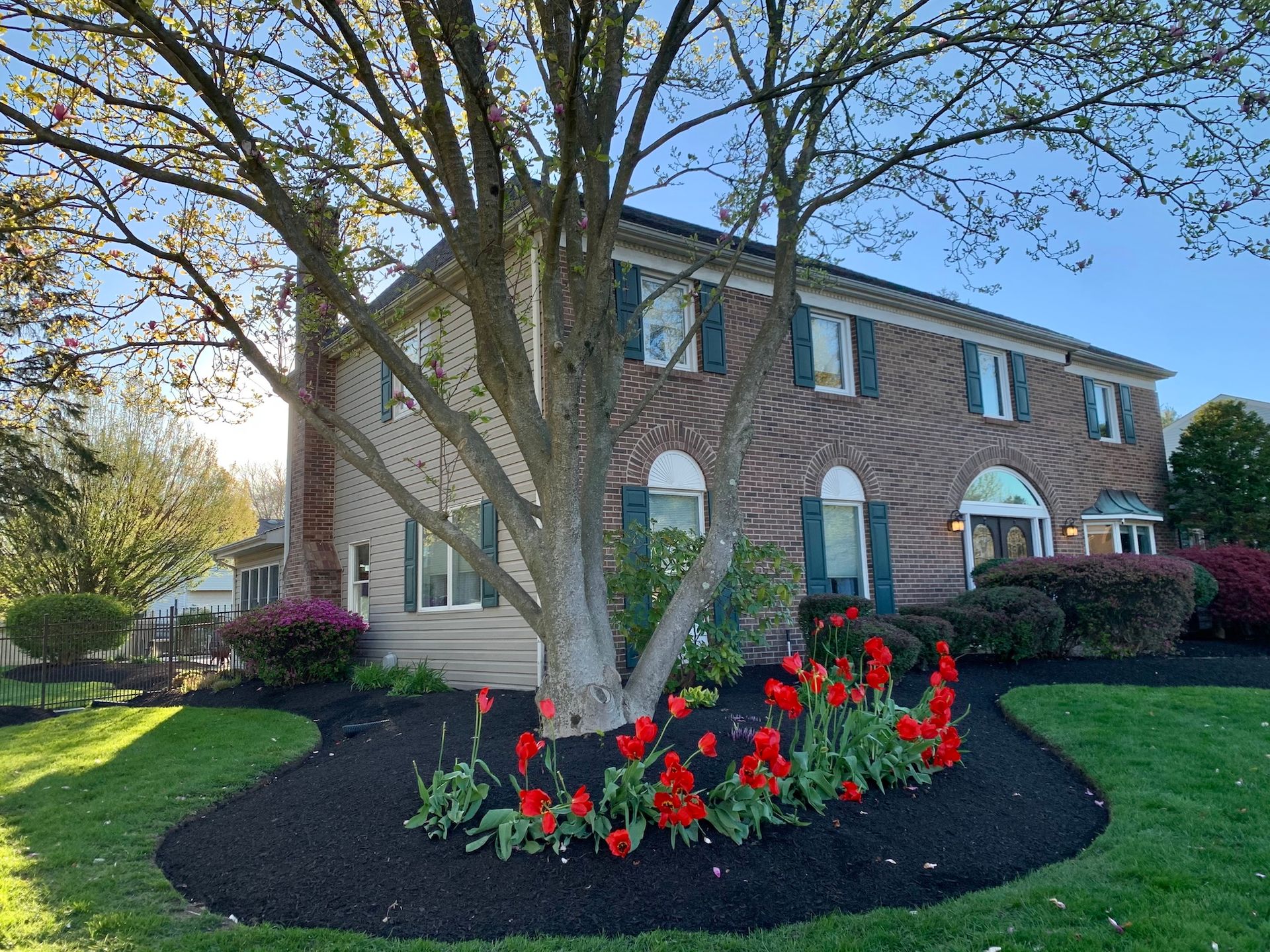 Two-story brick house with a tree in front. Red tulips line a mulch bed in the lawn.