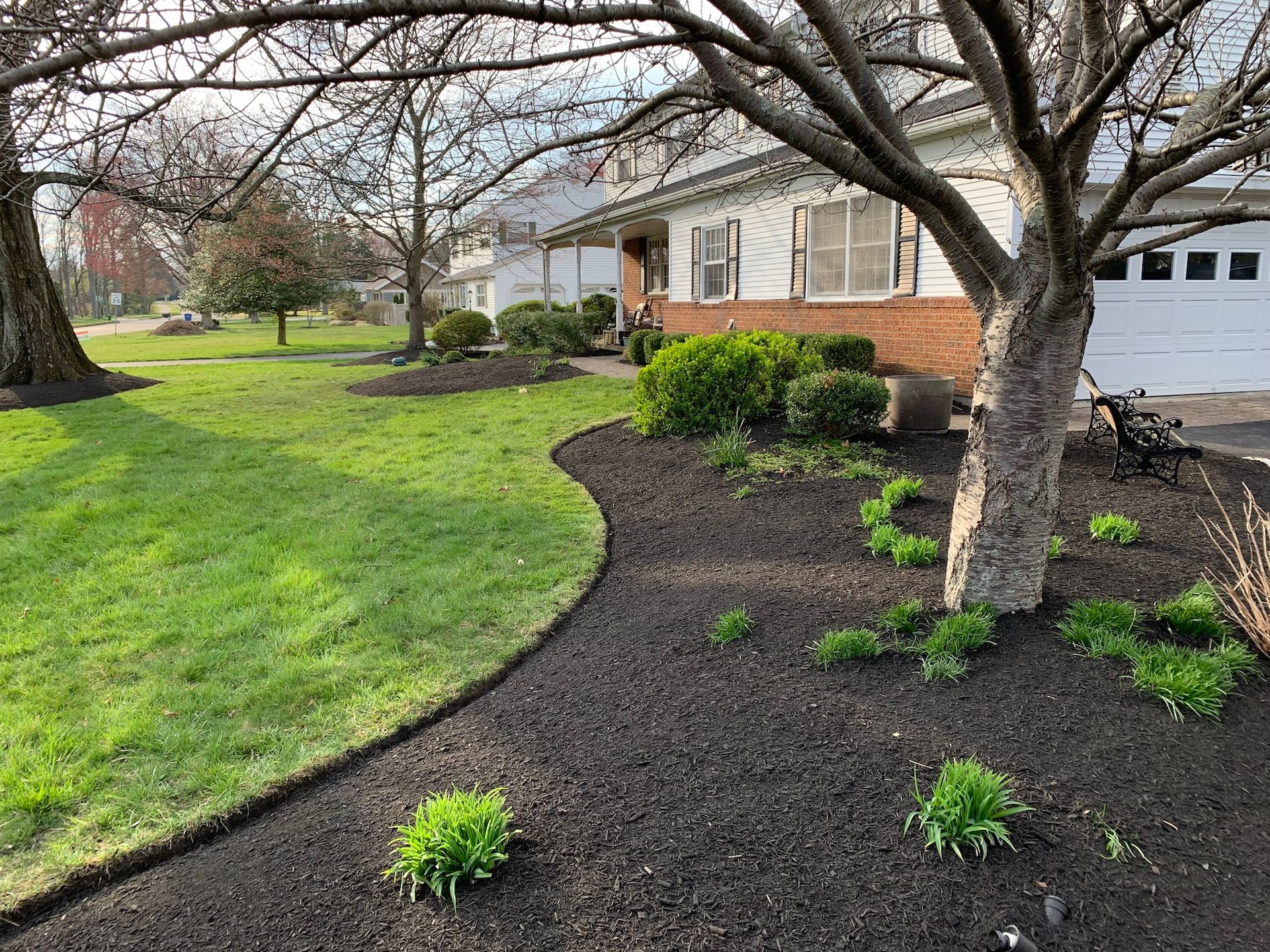 Lawn and flowerbeds bordered by dark mulch in front of a house. Early spring green shoots emerge.