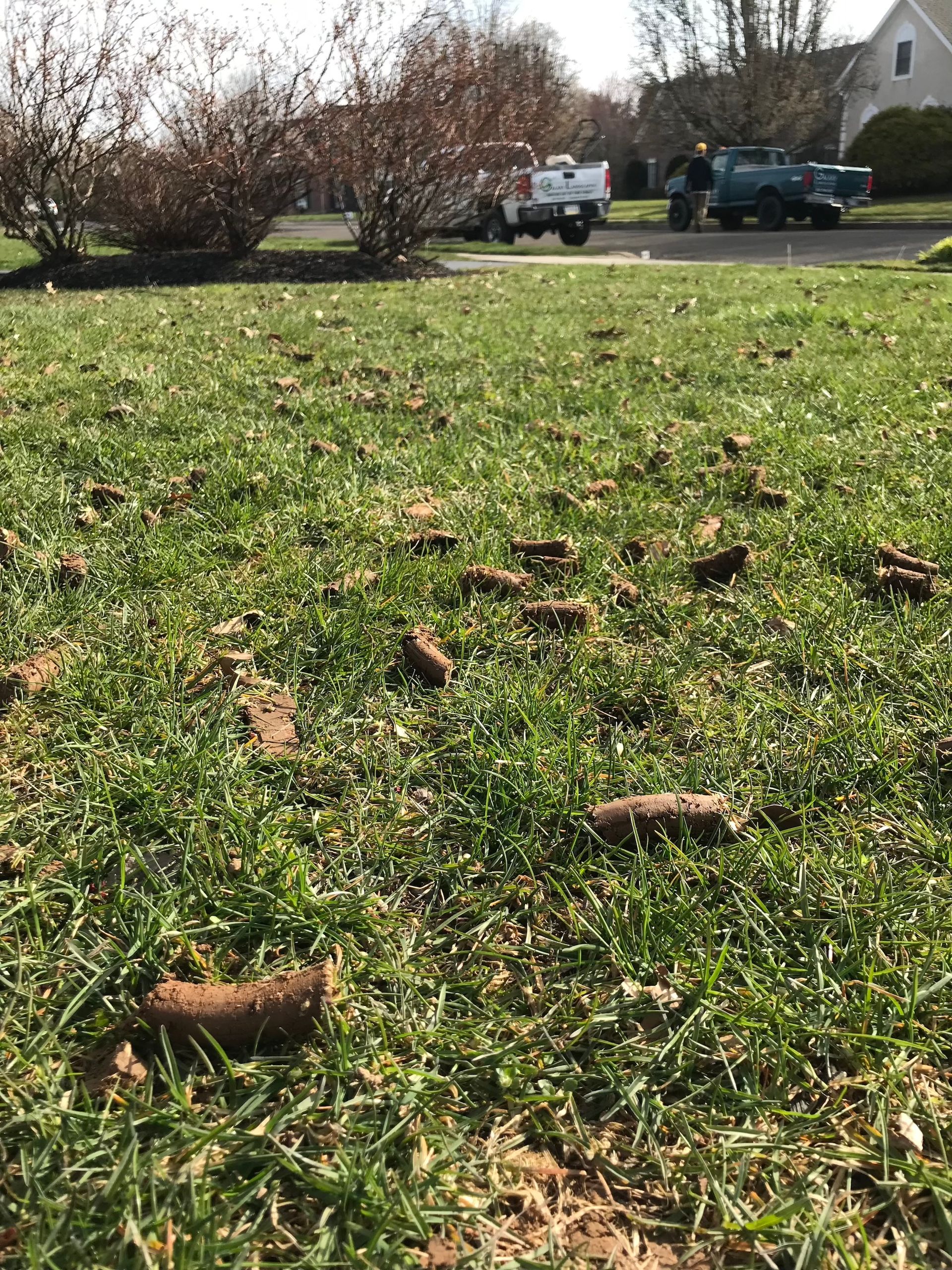 Green lawn aerator machine working on a green grassy lawn.