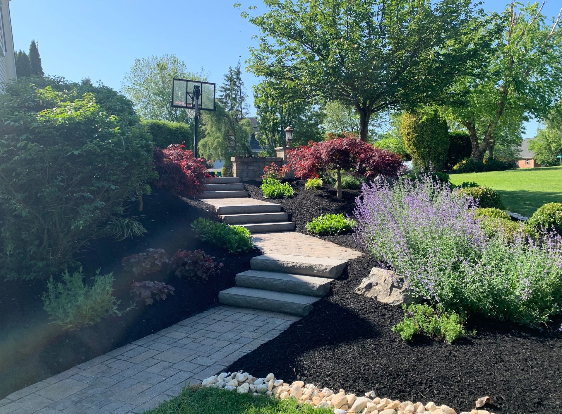 Stone path with steps leading up a landscaped garden, basketball hoop in the background.