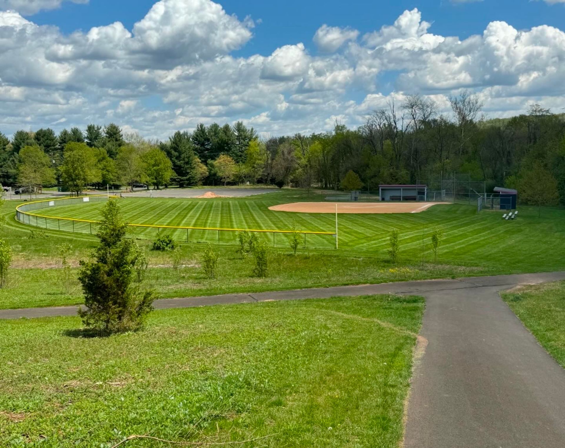 Baseball field under a blue sky with fluffy clouds. Green grass, trees, a path.