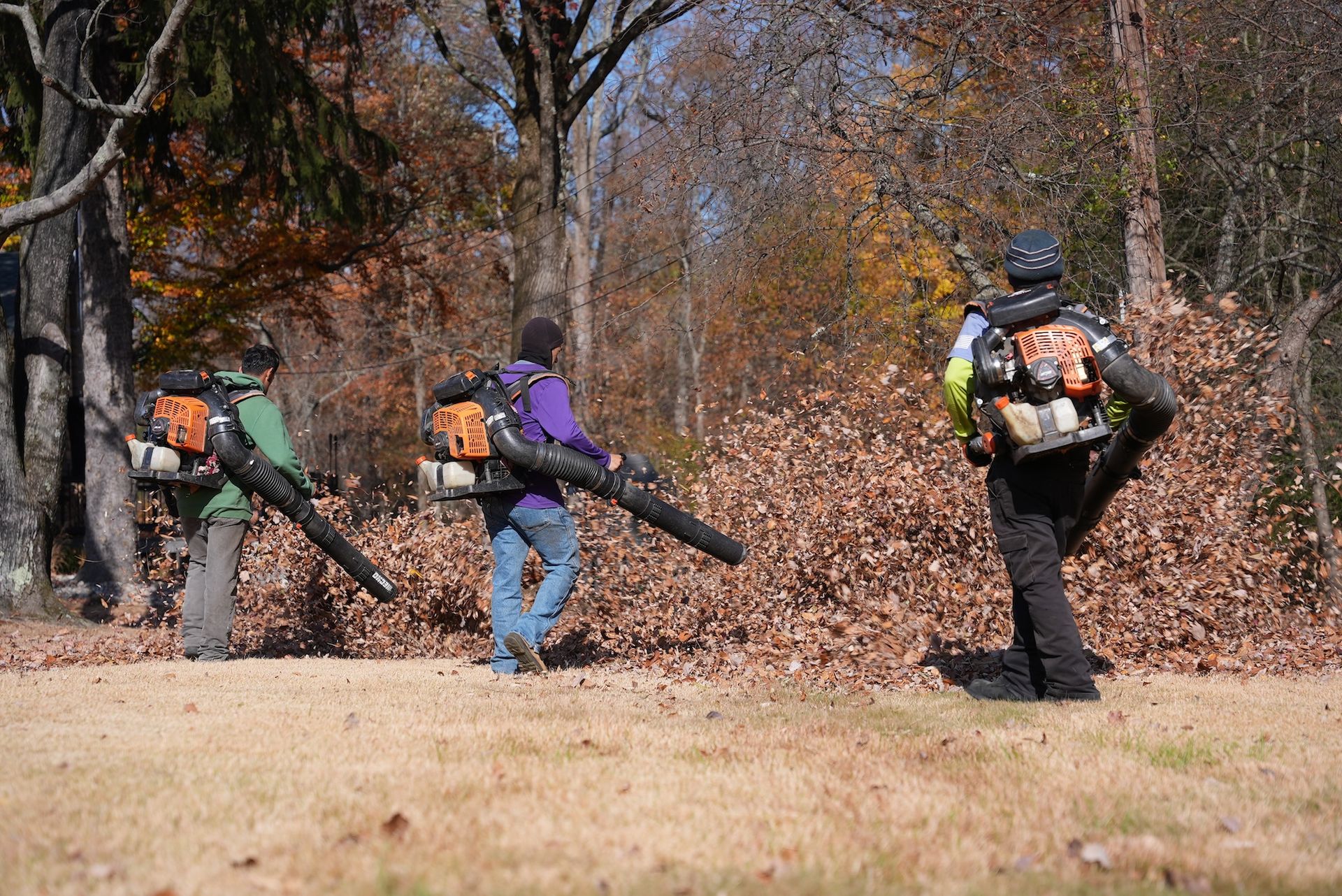 Three people using leaf blowers to move fallen leaves in a grassy area with trees.