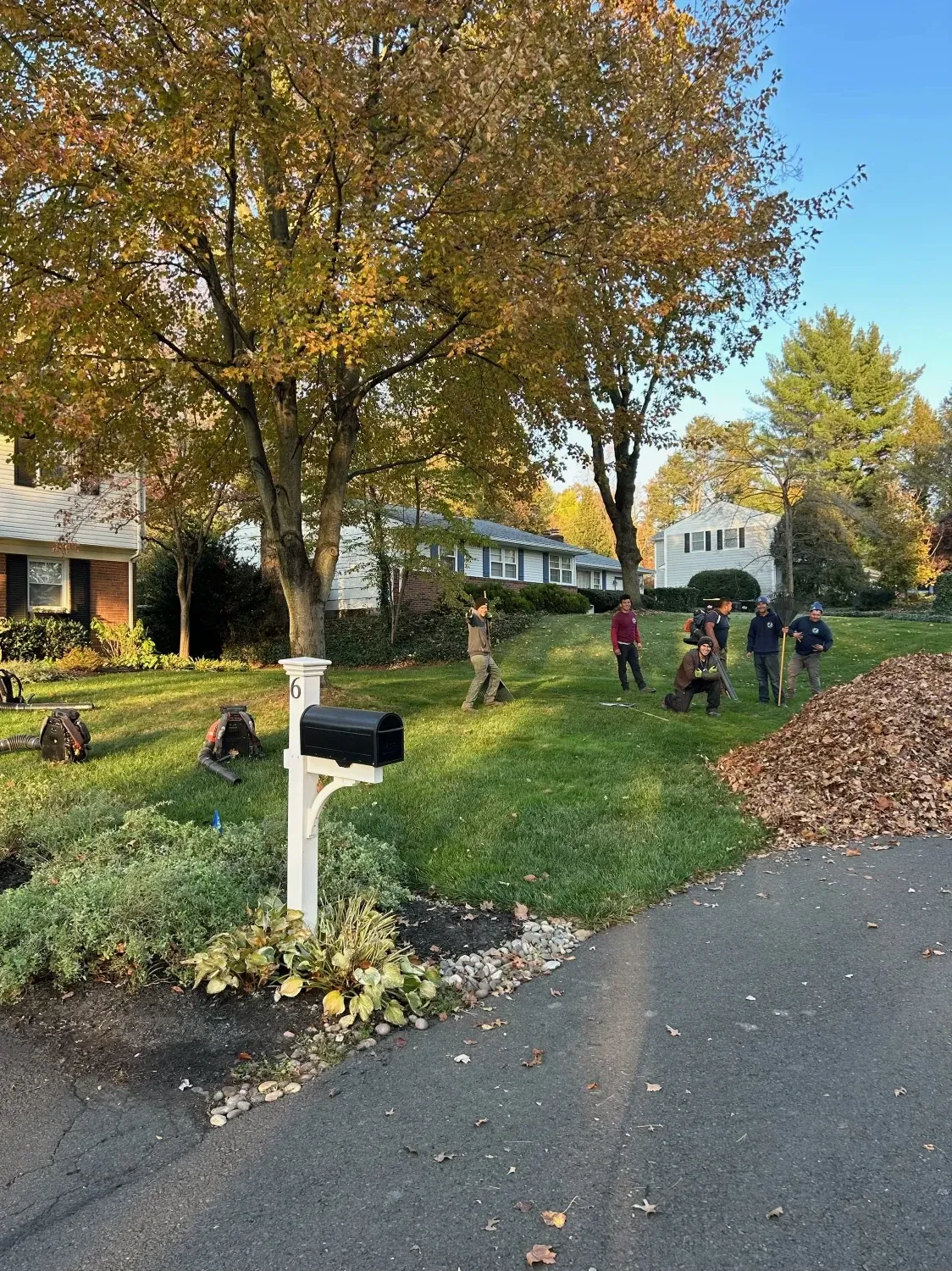 People raking leaves in a front yard. Piles of leaves, green grass, trees with fall colors.