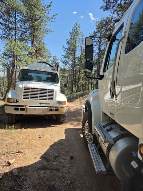 Two white trucks parked on a dirt forest road among pine trees and rocks.