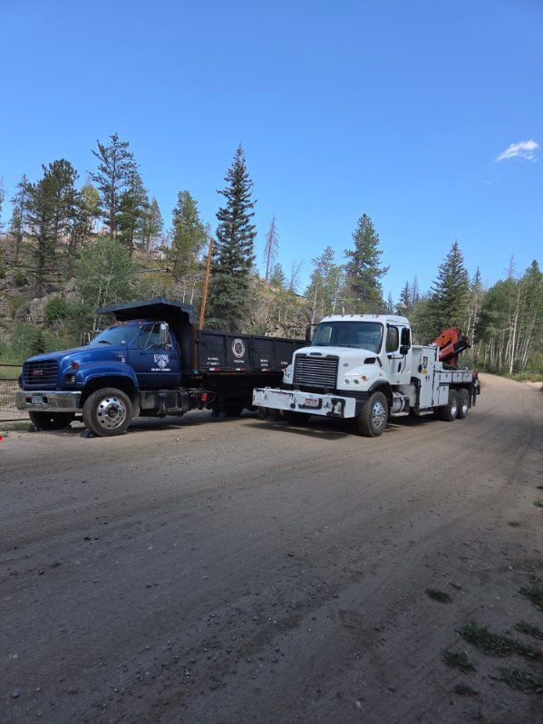 Blue and white dump trucks parked on a dirt road in a wooded area under a clear sky