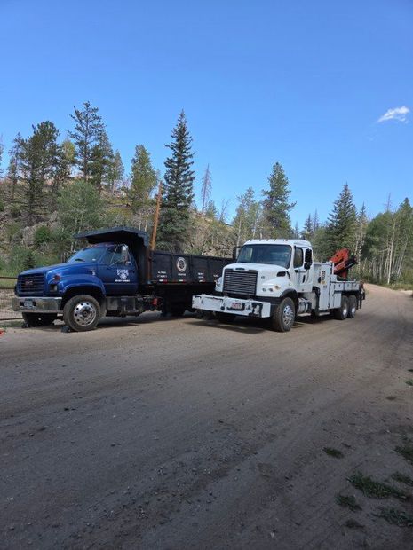 Blue and white dump trucks parked on a dirt road in a wooded area under a clear sky