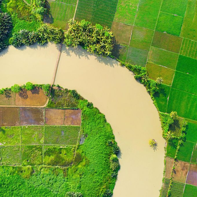 Aerial view: a river winding through vibrant green and brown fields, possibly farmland.