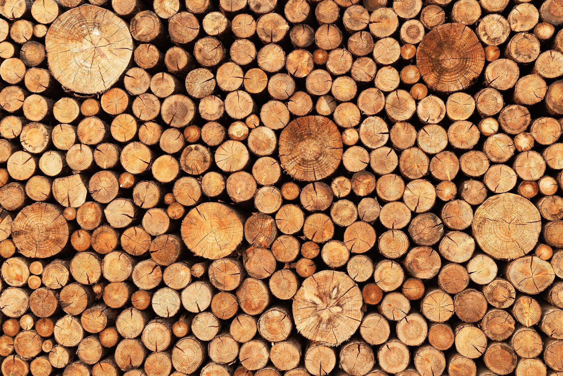 Stacking Wooden Logs — Tonasket, WA — Will Logging & Construction LLC